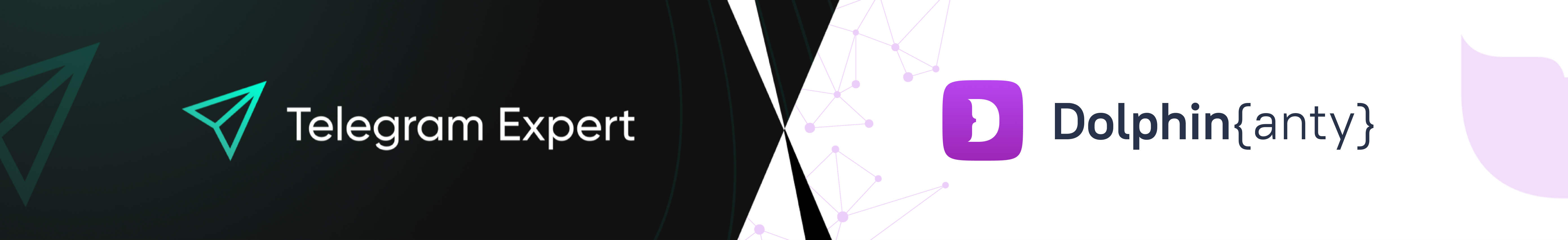 dolphin_TG-expert.png