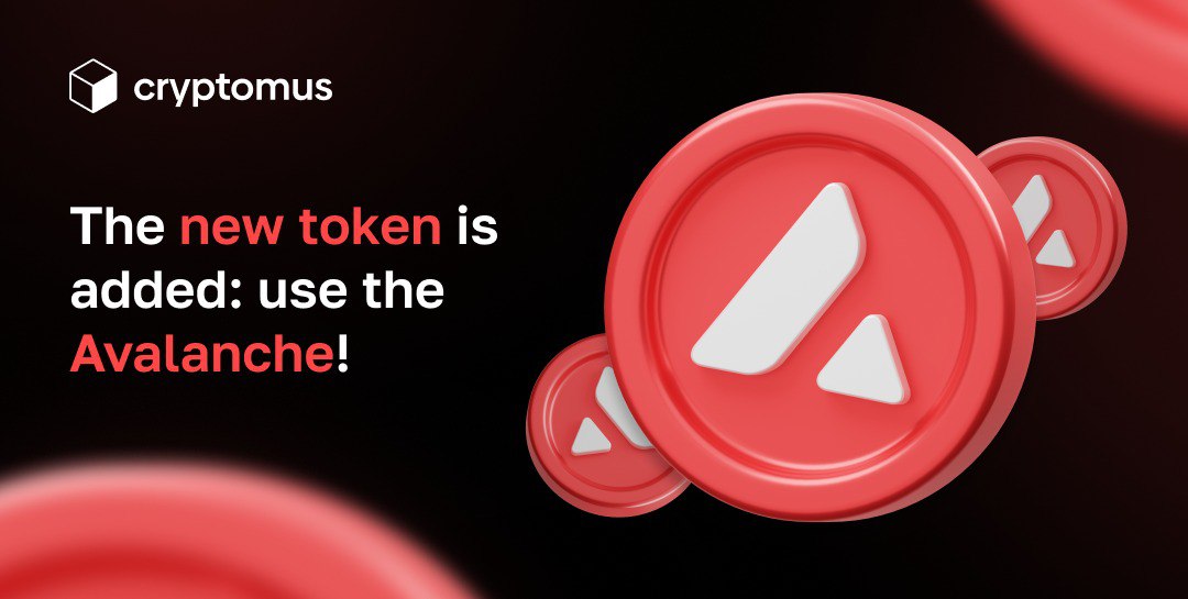 photo_2023-11-01 16.37.48.jpeg