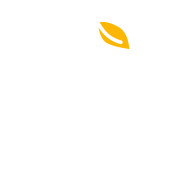 Mango Proxy